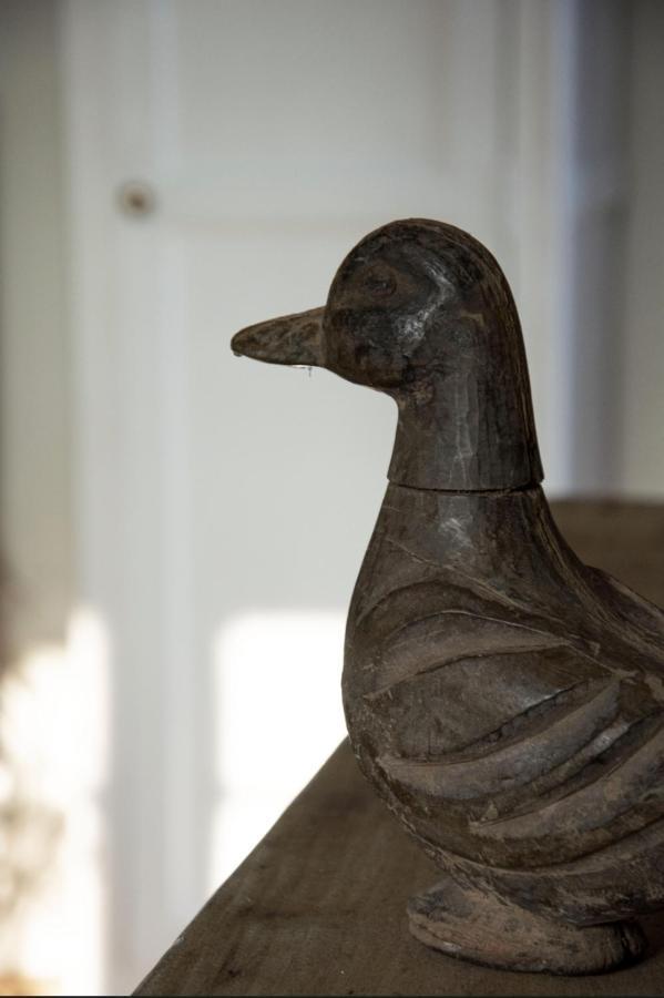 Le Roi Des Oiseaux - Gite A La Campagne Montcavrel エクステリア 写真