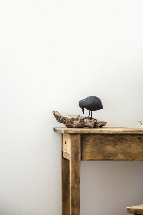 Le Roi Des Oiseaux - Gite A La Campagne Montcavrel エクステリア 写真
